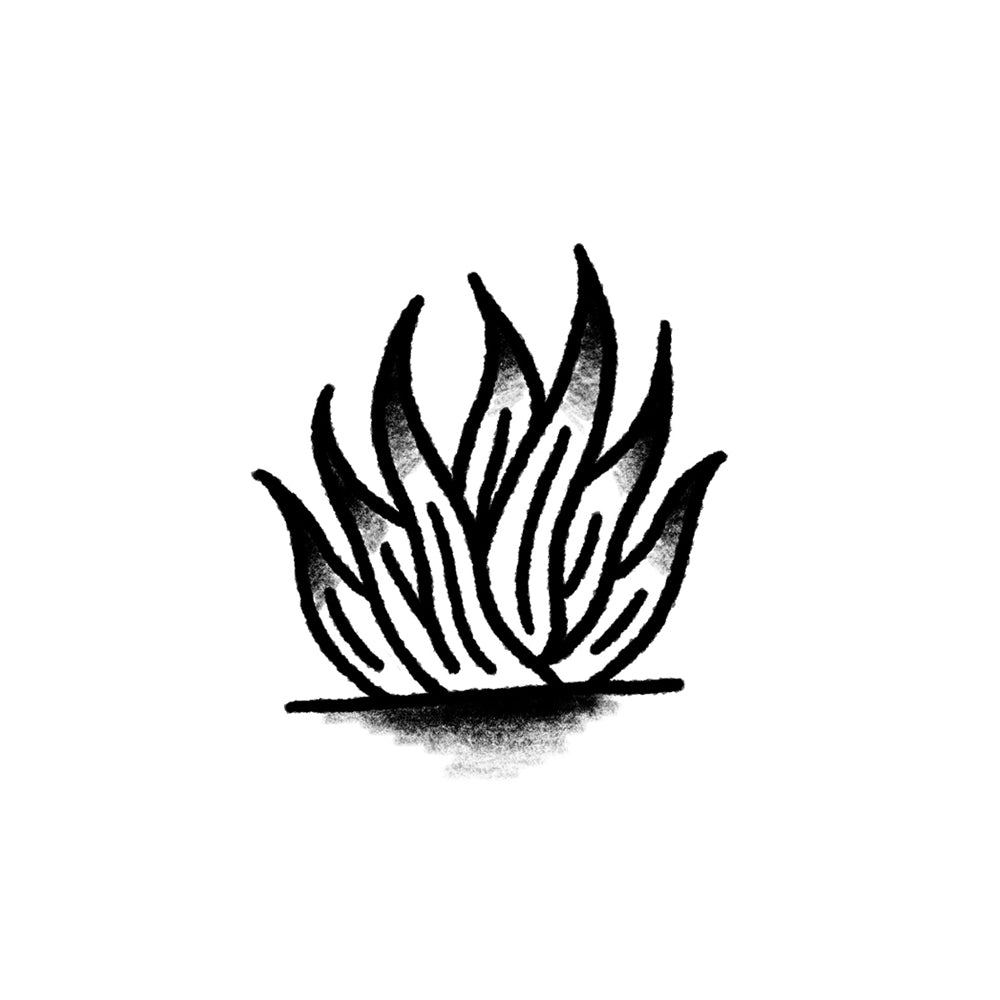 Agave – Flash Tattoo #54